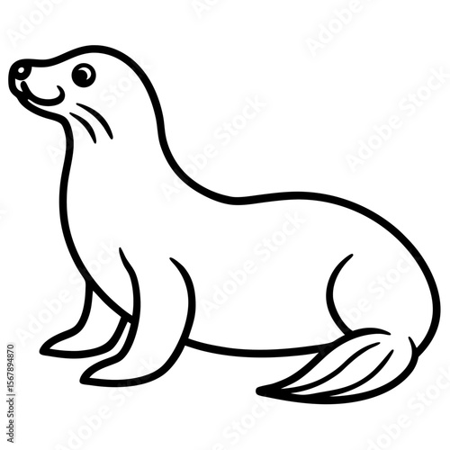 White Sea Lion Sketch