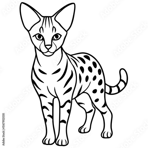 White Serval Line Art