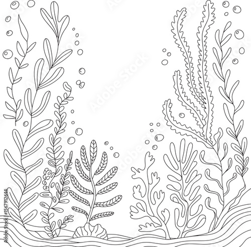 Hand Drawn Underwater Seaweed and Algae Vector Line Art for Coloring and Decoration, Underwater Plants Line Art, Ocean Coloring Page, Marine Flora Outline, Sea Plants Illustration