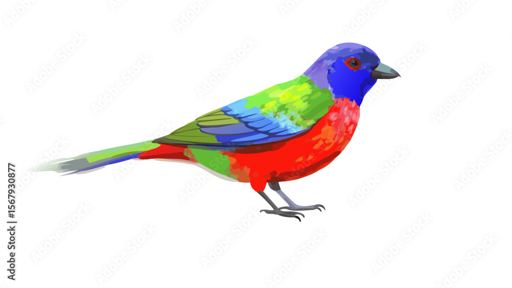 Fototapeta premium painted-bunting--in-digital-painting (1)