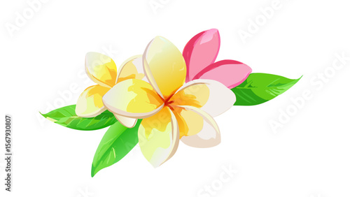 plumeria--flower-in-digital-painting