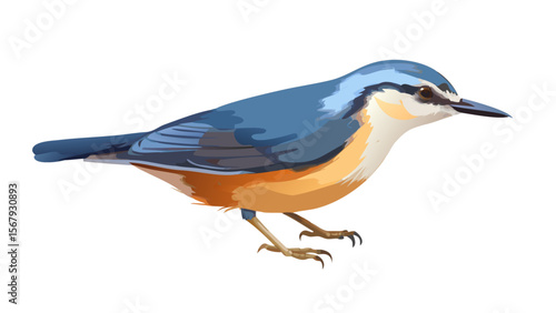 nuthatch-in-digital-painting