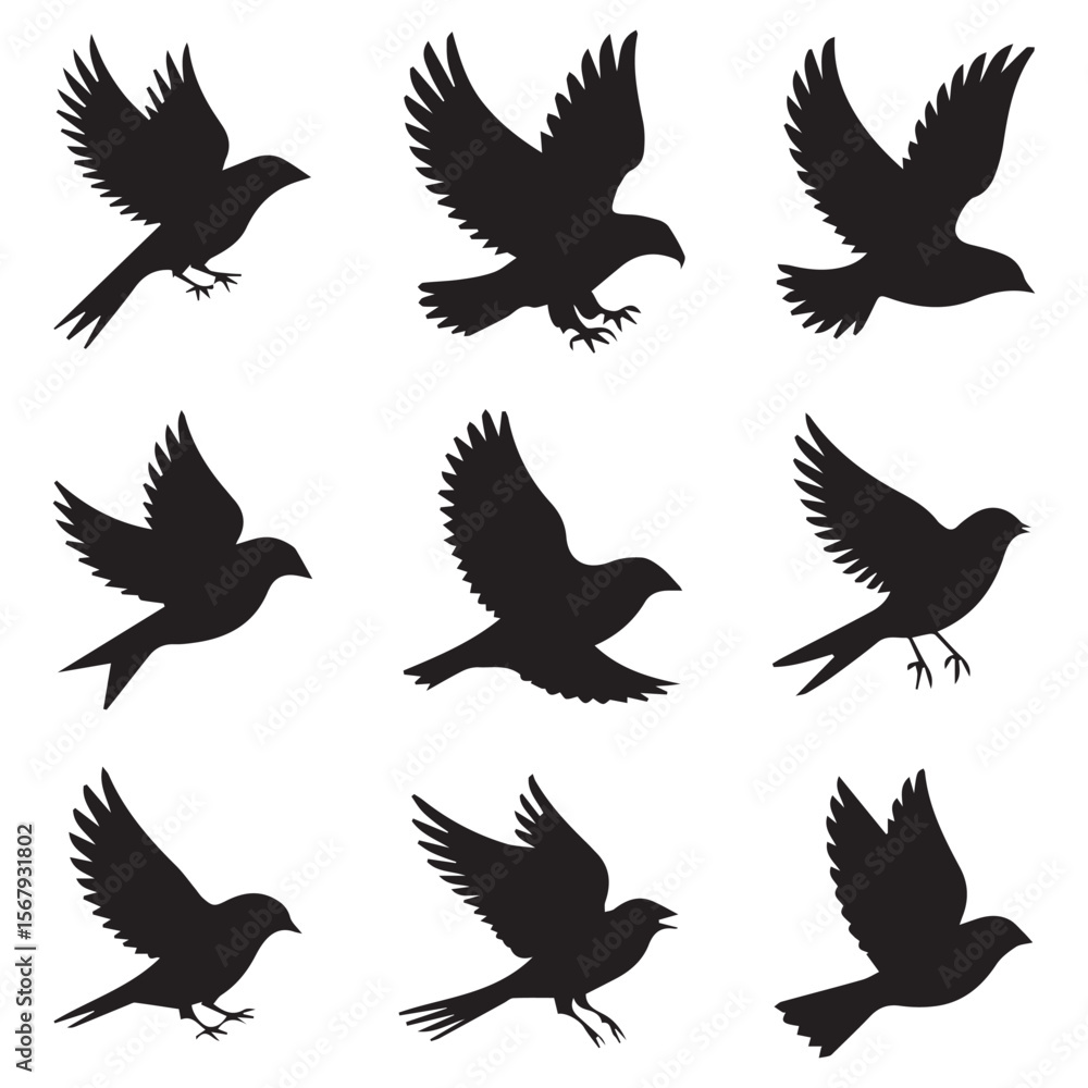 Fototapeta premium Collection of nine black bird silhouettes in various flying poses against a white background