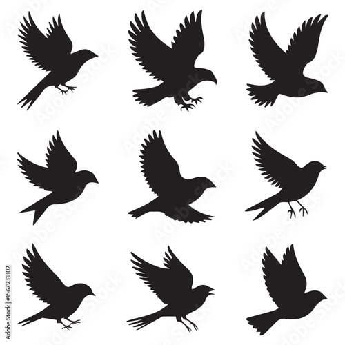 Collection of nine black bird silhouettes in various flying poses against a white background