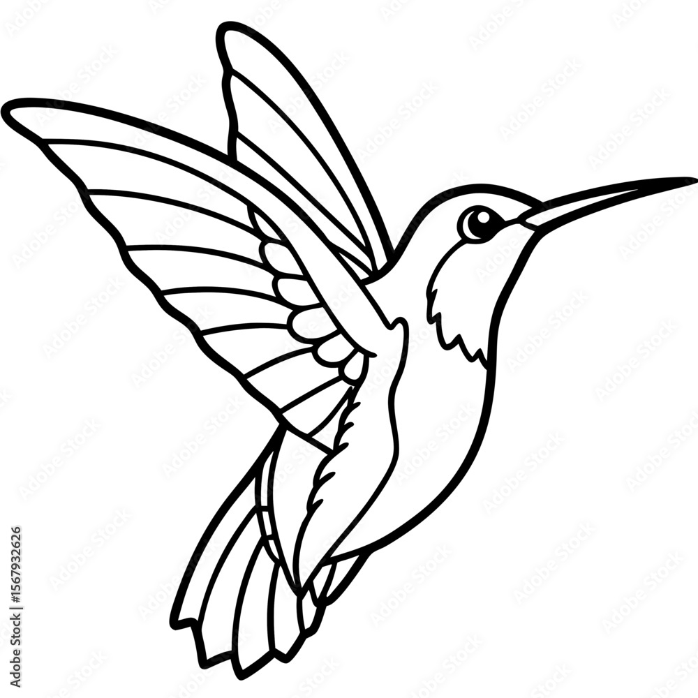 Obraz premium Xantus Hummingbird Minimalist Line Illustration