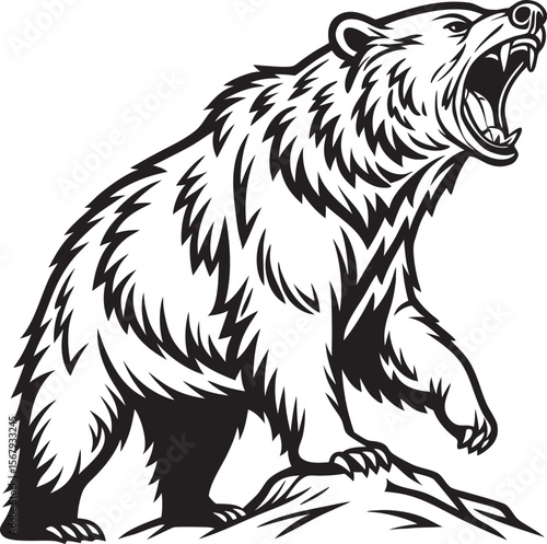 vector illustration of a bear