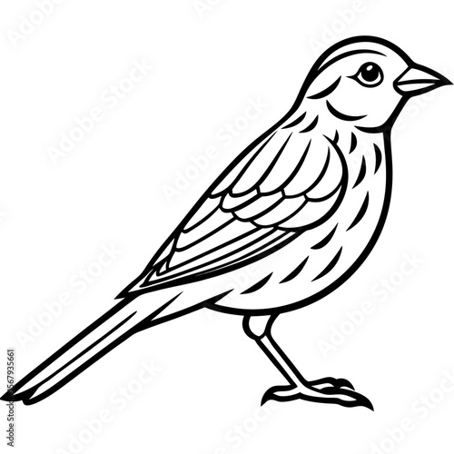 Yellowhammer Bird Sketch Vector Linework