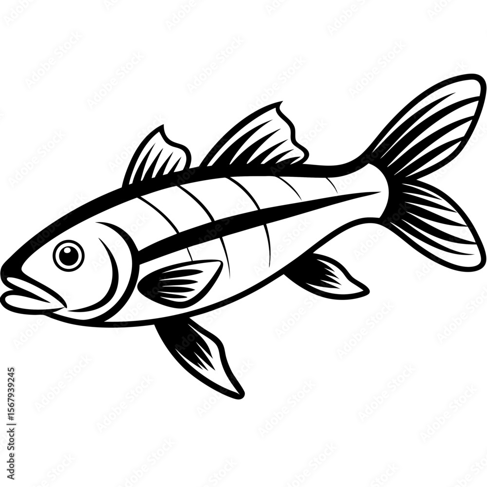 Fototapeta premium Zander Fish Artwork Linear Style Vector Design