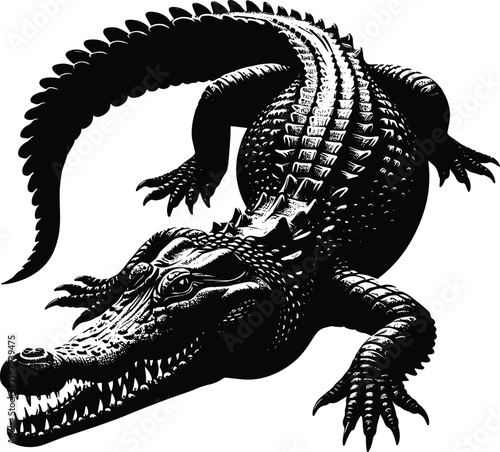 Striking crocodile vector illustration, black & white reptile art on isolated white background