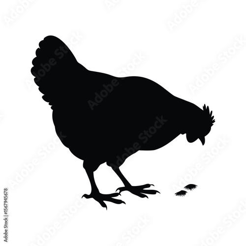 Black silhouette of a chicken pecking at food on white background