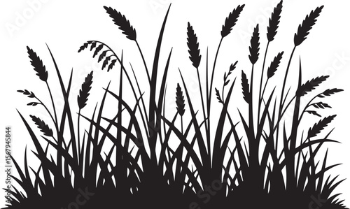 wild grass and wheat silhouette vector, black natural field scene with tall blades and grain stalks for rural and botanical design