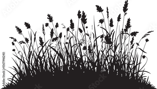 wild grass and wheat silhouette vector, black natural field scene with tall blades and grain stalks for rural and botanical design