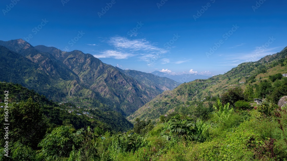 Fototapeta premium Scenic view of a vibrant green valley nestled among mountains under a clear blue sky, showcasing natural beauty and rural life.
