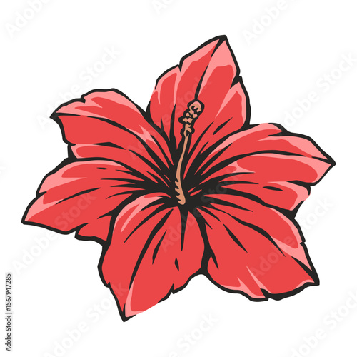 Vibrant red hibiscus flower with detailed petals