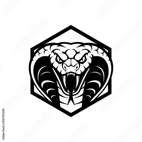 Vector illustration of an emblem or logo featuring an angry cobra head, ready to strike, with sharp eyes and visible fangs. 