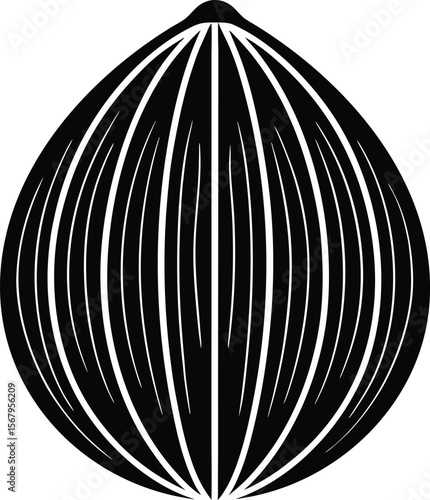Whole nutmeg silhouette black and white illustration
