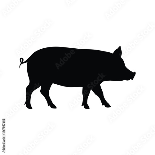 Silhouette of a walking pig against a white background in clear style