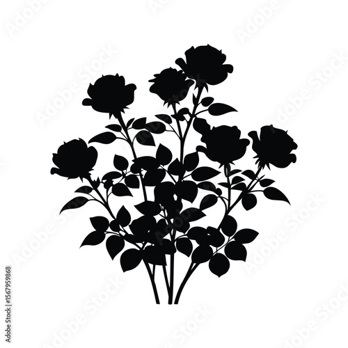 Silhouette of a rose bush with roses, leaves and stems isolated