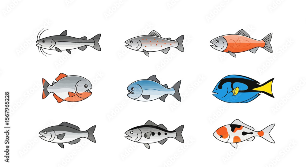 Obraz premium Vector explore diverse fish species a colorful collection of freshwater and saltwater fish illustration art drawing