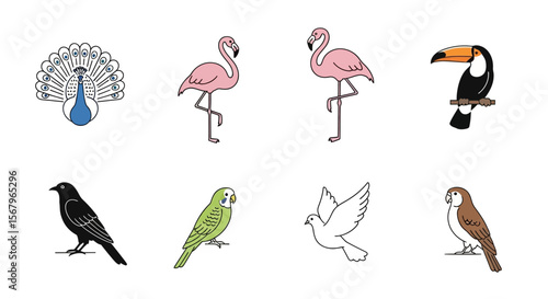 Vector exotic birds illustration: peacock, flamingo, toucan, crow, parrot, dove, and owl vector art