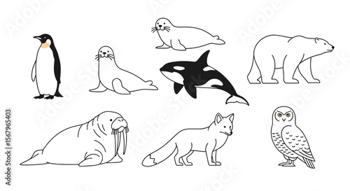 Vector arctic animals illustration featuring penguin seal orca polar bear walrus fox and snowy owl line art vector