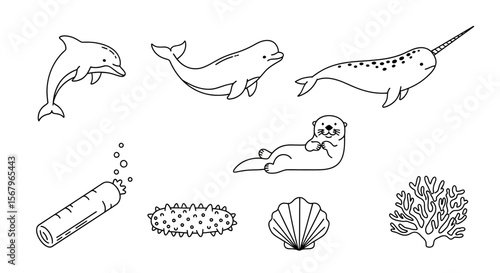 Vector dolphin beluga narwhal otter sea cucumber coral shell sea life ocean animals marine life line art vector 100