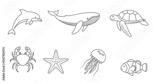 Vector ocean animals line art vector illustration featuring dolphin whale turtle crab starfish jellyfish clownfish