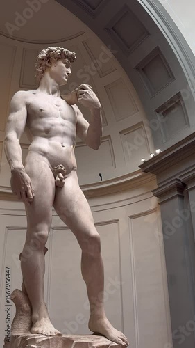 Statue David (Michelangelo) in Florenz
