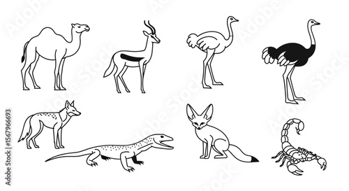 Vector desert animals illustration featuring camel gazelle ostrich fox lizard jackal and scorpion line art style