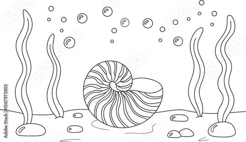 Nautilus Shell Line Art, Ocean Floor Illustration, Seaweed Underwater Vector, Marine Shell Drawing, Aquatic Outline Art, Sea Shell Coloring Page, Black White Ocean Design