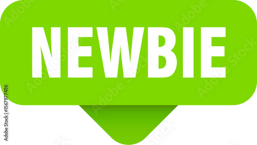 newbie sticker. newbie sign on transparent background