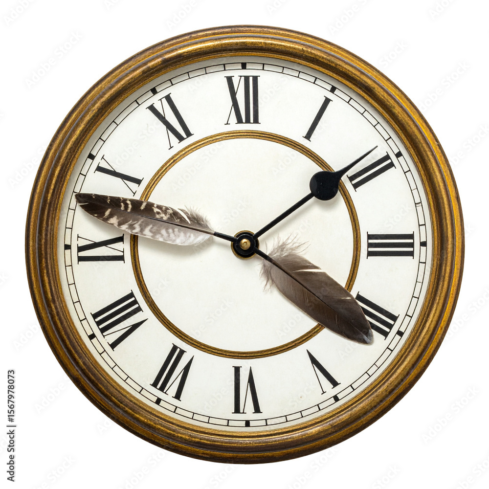 Fototapeta premium Vintage clock with feathers time concept