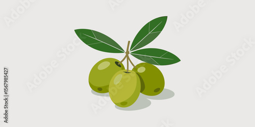 Illustration of olives, green fruit with leaves, healthy food concept, vector