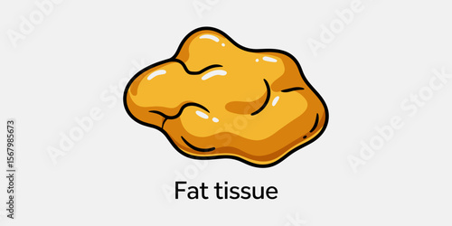 Fat tissue vector illustration, anatomy, biology, science, health, body, medical