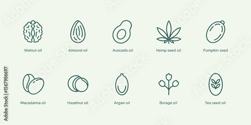 Seed oils: Walnut, almond, avocado, hemp, pumpkin, macadamia, hazelnut, argan, borage, and tea seeds icons