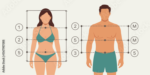 Body measurement guide, man and woman, anatomical chart, illustration, vector