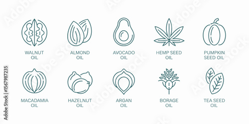Oil seeds vector icons: walnut, almond, avocado, hemp, pumpkin, argan