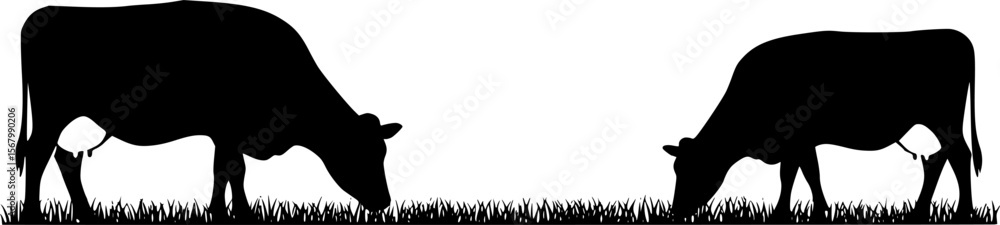 Obraz premium Black Silhouette Cows Grazing in Grass, Farm Animal Vector Illustration 