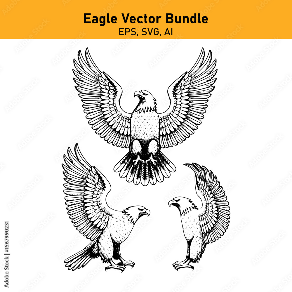 Obraz premium Eagle with spread wings in flight vector illustration
