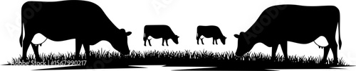 Black Silhouette Cows Grazing in Grass, Farm Animal Vector Illustration
