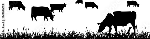 Black Silhouette Cows Grazing in Grass, Farm Animal Vector Illustration
