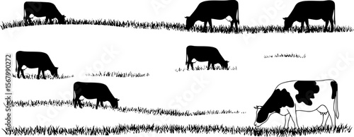 Black Silhouette Cows Grazing in Grass, Farm Animal Vector Illustration
