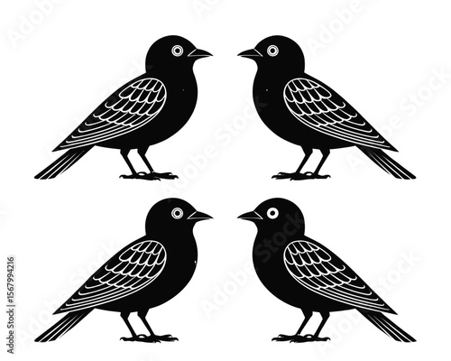 Wallpaper Mural Black Birds in Alignment: Four monochromatic birds, precisely aligned in pairs, exude an air of serene togetherness, their silhouettes providing a visual testament to symmetrical harmony.  Torontodigital.ca