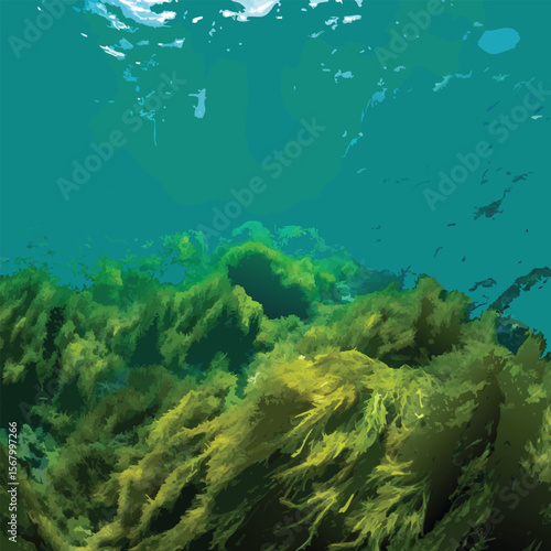 Algae on the ocean floor with natural sunlight, underwater seascape in the Atlantic ocean, Spain, Galicia