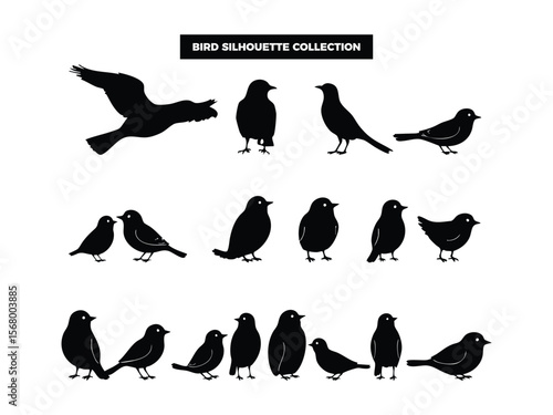 Vector Bird Silhouette Collection, Flying, Perching, and Soaring Birds for Graphic Design