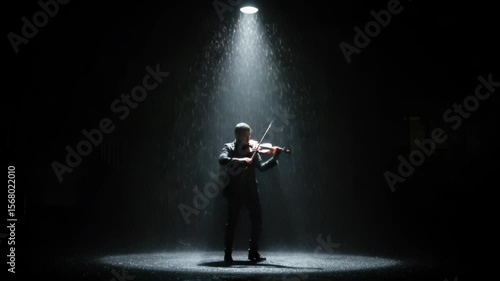 Wallpaper Mural Violinist performing under a spotlight in the rain a dark and moody performance Torontodigital.ca