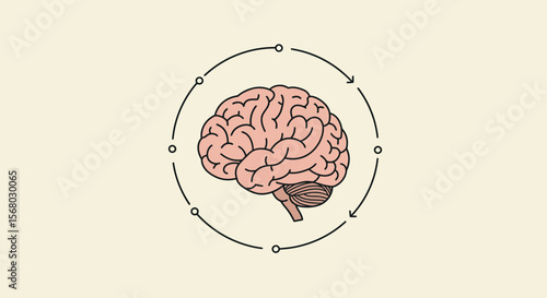 Brain diagram in minimalist style with circular flow arrows on beige background