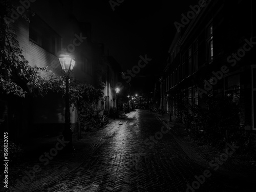Black-and-white rendering of the same Leiden alley. Glossy cobblestones reflect lamp glow and deep shadows give a classic film-noir feel.
