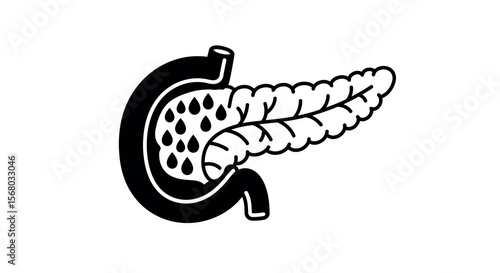 Human pancreas diagram vector illustration in monochrome for medical education