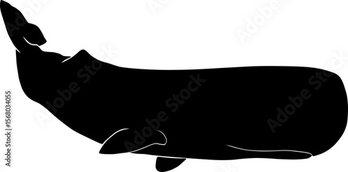 Sperm whale